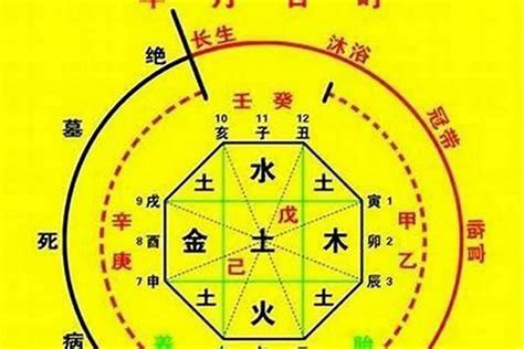 八字 查詢|生辰八字算命、五行喜用神查询（免费测算）